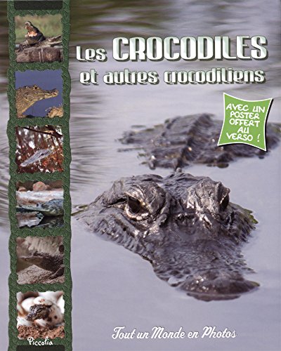 Les Crocodiles Et Autres Crocodiliens