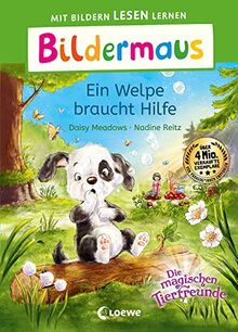 Bildermaus - Ein Welpe braucht Hilfe: Mit Bildern lesen lernen - Ideal für die Vorschule und Leseanfänger ab 5 Jahren - Mit Leselernschrift ABeZeh