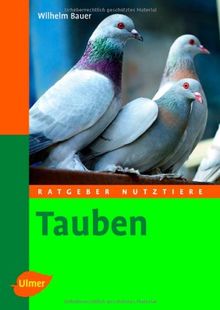 Tauben: Ratgeber Nutztiere