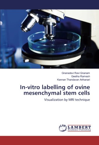 In-vitro labelling of ovine mesenchymal stem cells: Visualization by MRI technique