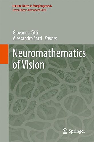 Neuromathematics of Vision (Lecture Notes in Morphogenesis)