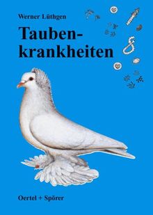Taubenkrankheiten