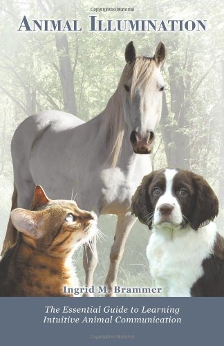 Animal Illumination: The Essential Guide to Learning Intuitive Animal Communication