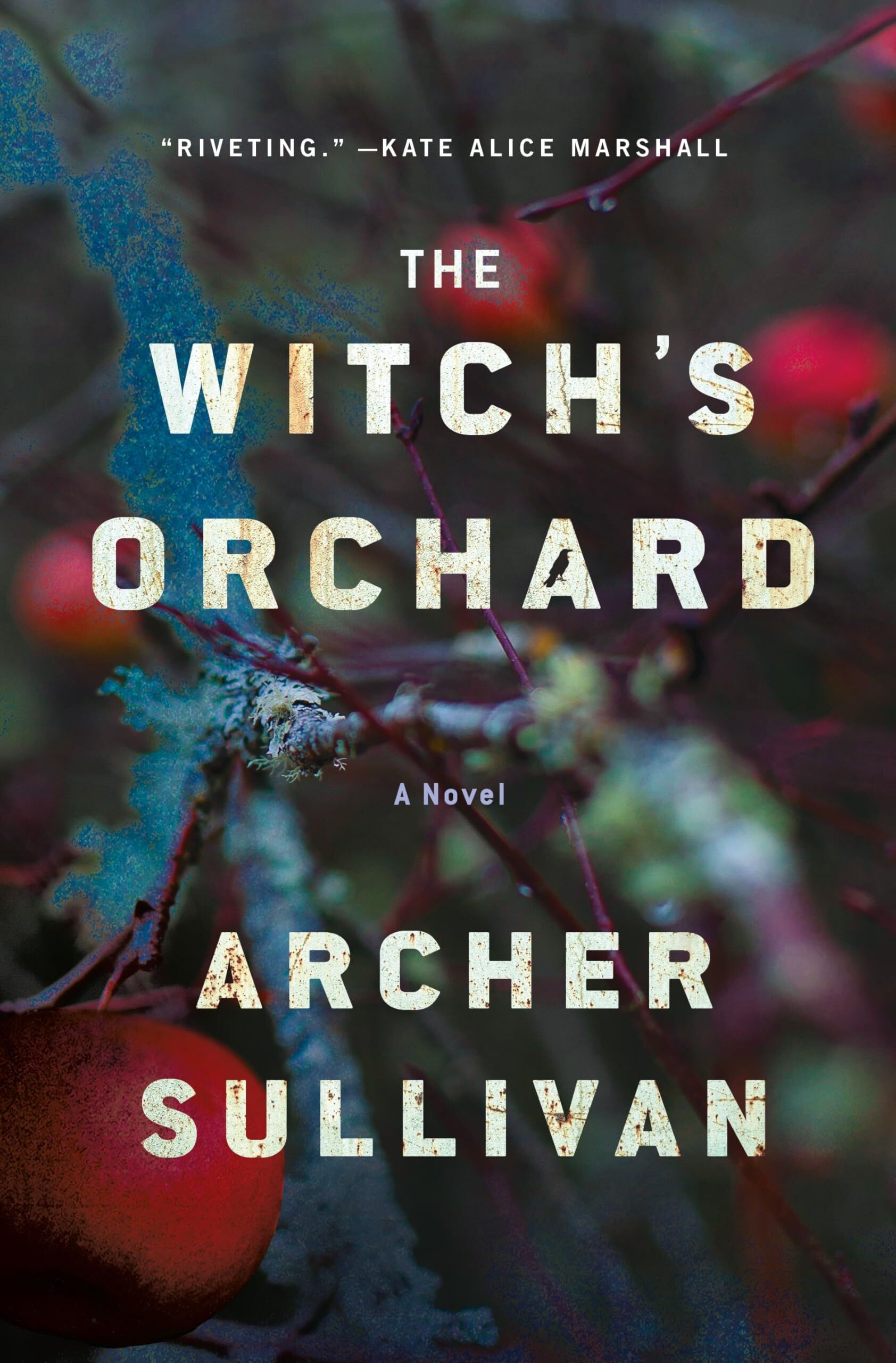 The Witch's Orchard - Neuware