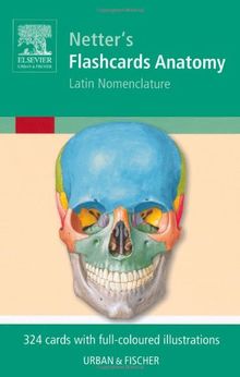 Flashcards Anatomy: Latin Nomenclature