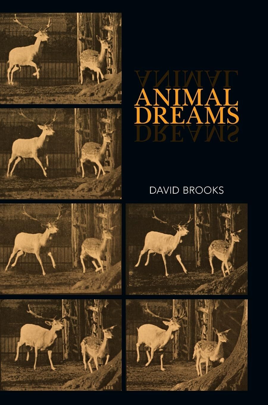 Animal Dreams