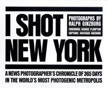 I Shot New York: A News Photographer's Chronicle of 365 Days in the World's Most Photogenic Metropolis (Photographie)