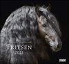 Friesen 2021 – Edle Pferde – Fotografiert von Christiane Slawik – DUMONT-Wandkalender – Format 38,0 x 35,5 cm