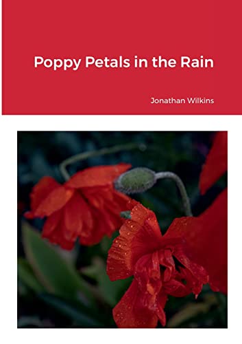 Poppy Petals in the Rain