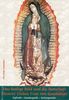 Das Heilige Bild und die Botschaft unserer Lieben Frau von Guadalupe: Zuflucht - Gnadenquelle - Rettungsanker in jeglicher Not und Gefahr