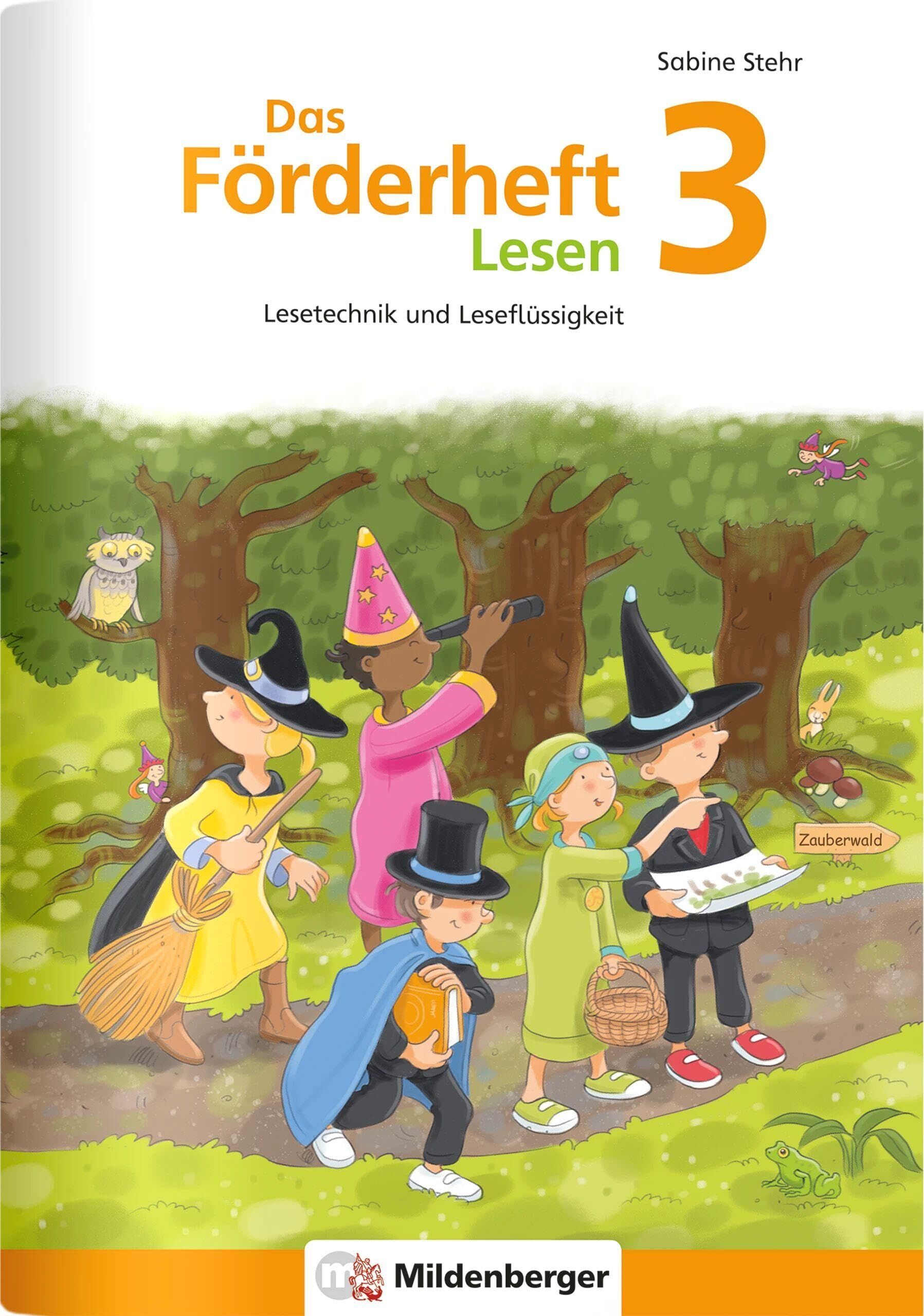 Stehr, Sabine: Das Förderheft Lesen 3