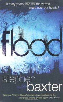 Flood