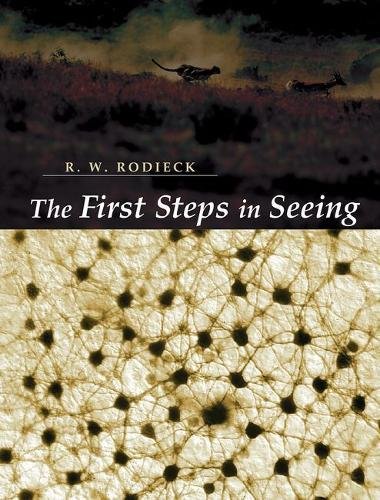 The First Steps in Seeing