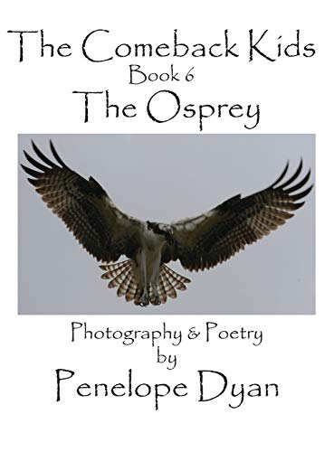 The Comeback Kids, Book 6, The Osprey