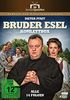 Bruder Esel - Komplettbox [4 DVDs]