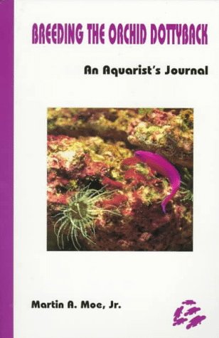 Breeding the Orchid Dottyback, Pseudochromis Fridmani: An Aquarist's Journal