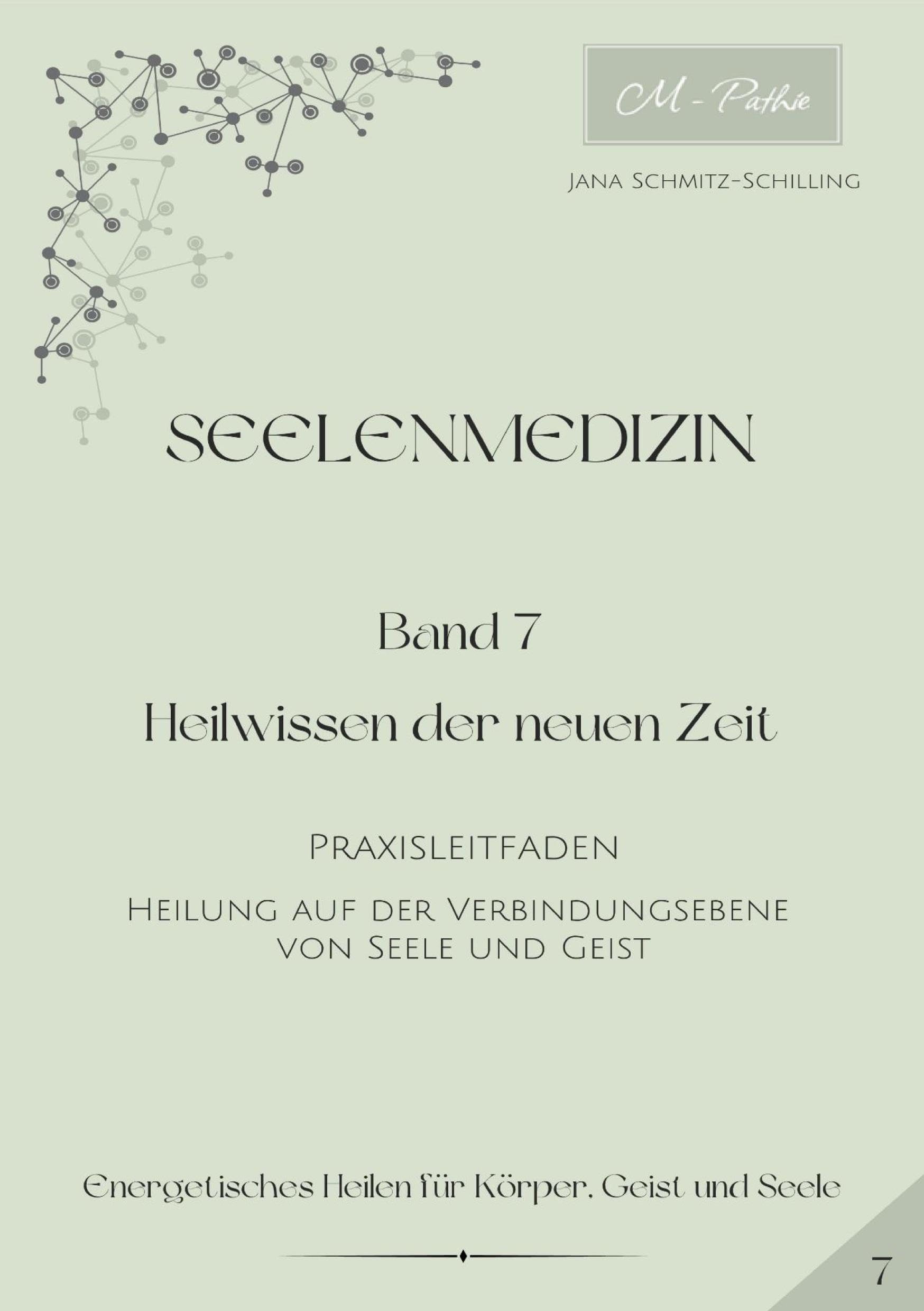 Seelenmedizin: Band 7 - Praxisleitfaden - Heilung auf der Verbindungsebene von Seele und Geist