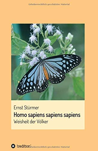 Homo sapiens sapiens sapiens - Ernst Stürmer Kartoniert (TB)
