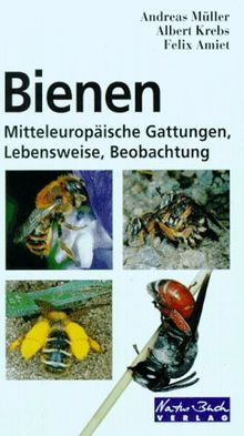 Bienen. Mitteleuropäische Gattungen, Lebensweise, Beobachtung