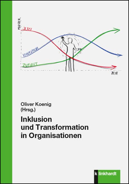 Inklusion und Transformation in Organisationen Kartoniert (TB)