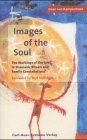 Images of the soul: The workings of the soul in Shamanic Ritual and Family Constellations: The Workings in Shamanic Rituals and Family Constellations