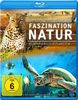 Faszination Natur - Wunder unseres Planeten [6 Naturdokumentationen auf 2 Blu-ray's]