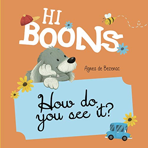 Hi Boons - How Do You See It?: 4-in-1