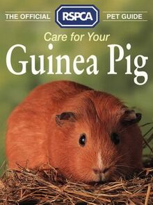 Care for Your Guinea Pig (RSPCA Pet Guide)