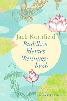 Buddhas kleines Weisungsbuch (Die Weisheit großer Meister zum Verschenken)