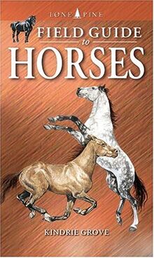 Grove, K: Field Guide to Horses