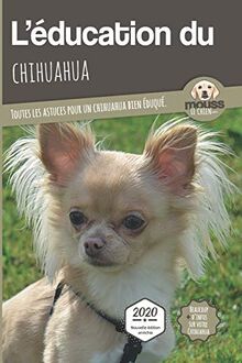 L'éducation du chihuahua : toutes les astuces pour un chihuahua bien éduqué : 2020