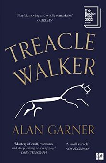 Treacle Walker: Shortlisted for the 2022 Booker Prize and a Guardian Best Fiction Book of 2021