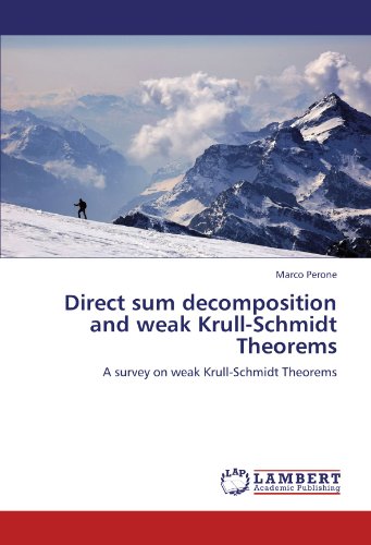 Direct sum decomposition and weak Krull-Schmidt Theorems: A survey on weak Krull-Schmidt Theorems