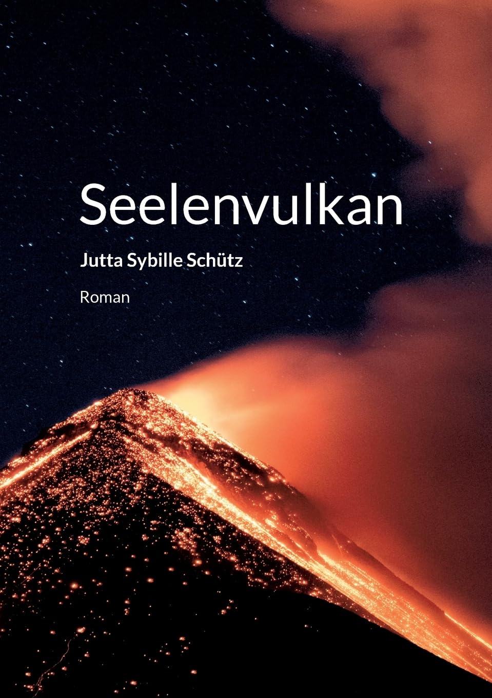 Seelenvulkan: Roman