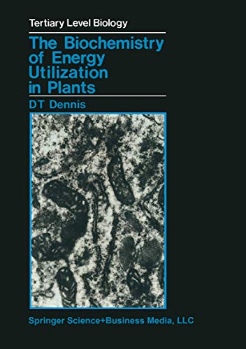 The Biochemistry of Energy Utilization in Plants (Soziale Arbeit Als Wohlfahrtsproduktion, Band 44)