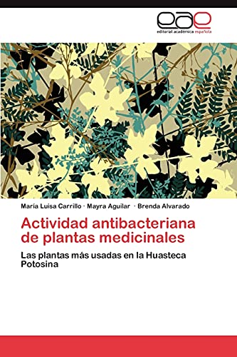 Actividad antibacteriana de plantas medicinales: Las plantas más usadas en la Huasteca Potosina
