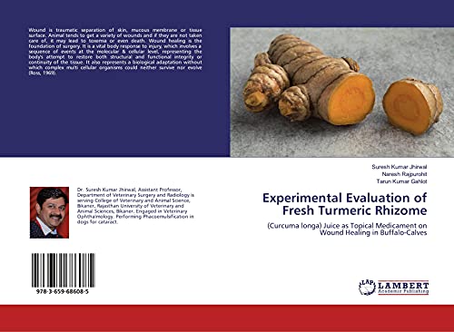 Experimental Evaluation of Fresh Turmeric Rhizome: (Curcuma longa) Juice as Topical Medicament on Wound Healing in Buffalo-Calves