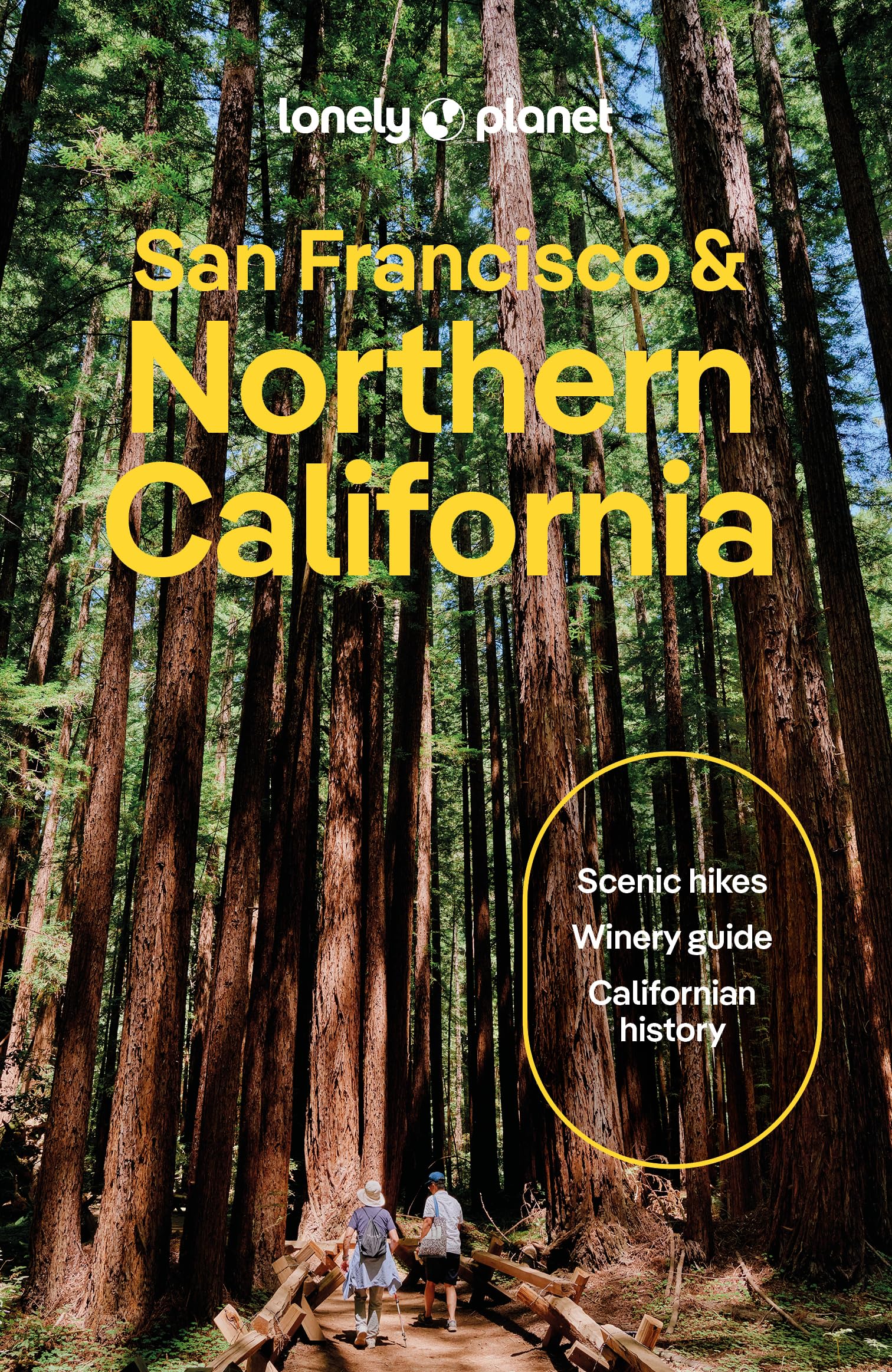 Averbuck, Alexis: Lonely Planet San Francisco & Northern California