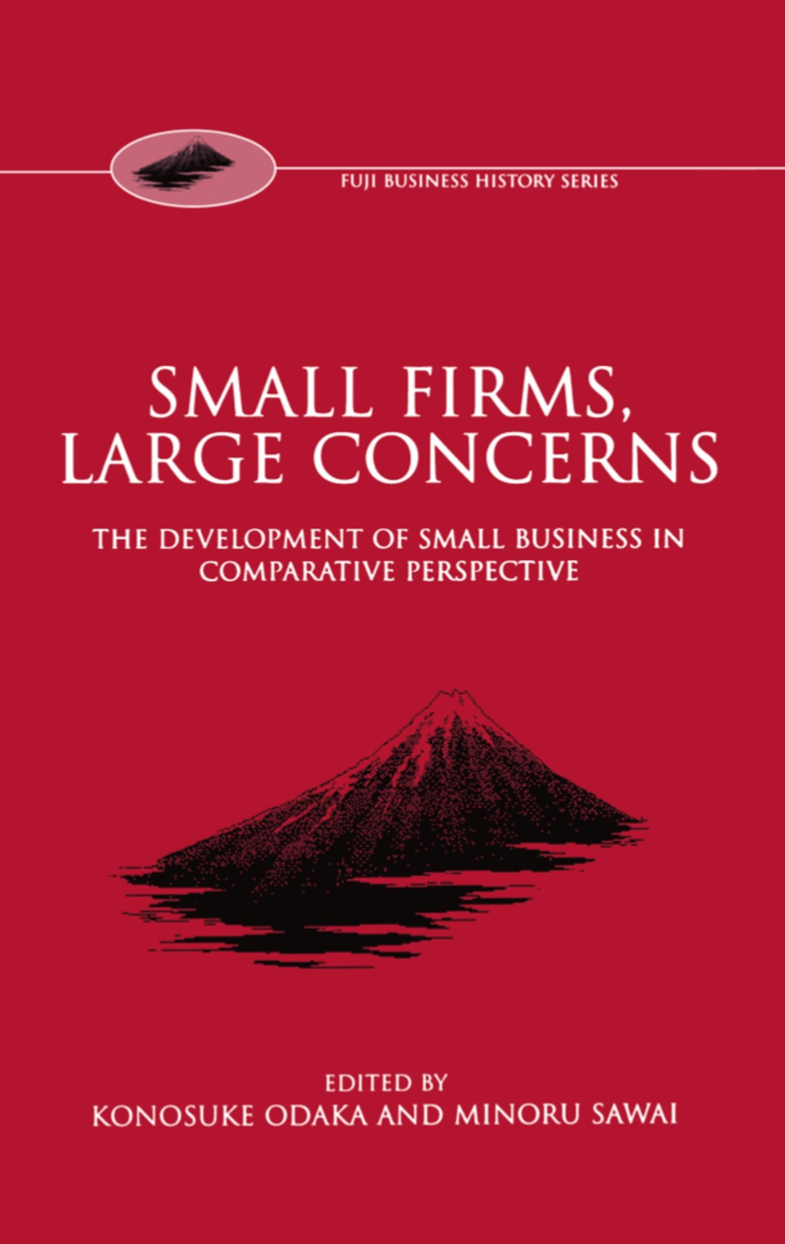 Small Firms, Large Concerns 'The Development of Small Business in Comparative Perspective' (Fuji Conference Series III)