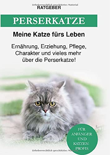 Perserkatze: Ernährung, Erziehung, Pflege, Charakter und vieles mehr über die Perserkatze
