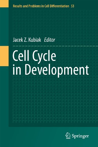 Cell Cycle in Development (Results and Problems in Cell Differentiation, 53, Band 53)