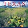 Texas (America Series)