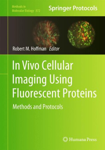 In Vivo Cellular Imaging Using Fluorescent Proteins: Methods and Protocols (Methods in Molecular Biology)