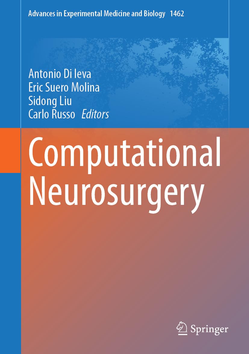 Computational Neurosurgery (Advances in Experimental Medicine and Biology, 1462, Band 1462)