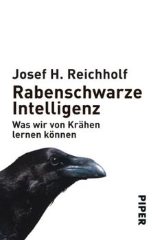 Rabenschwarze Intelligenz: Was wir von Krähen lernen können