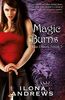 Magic Burns (Kate Daniels)