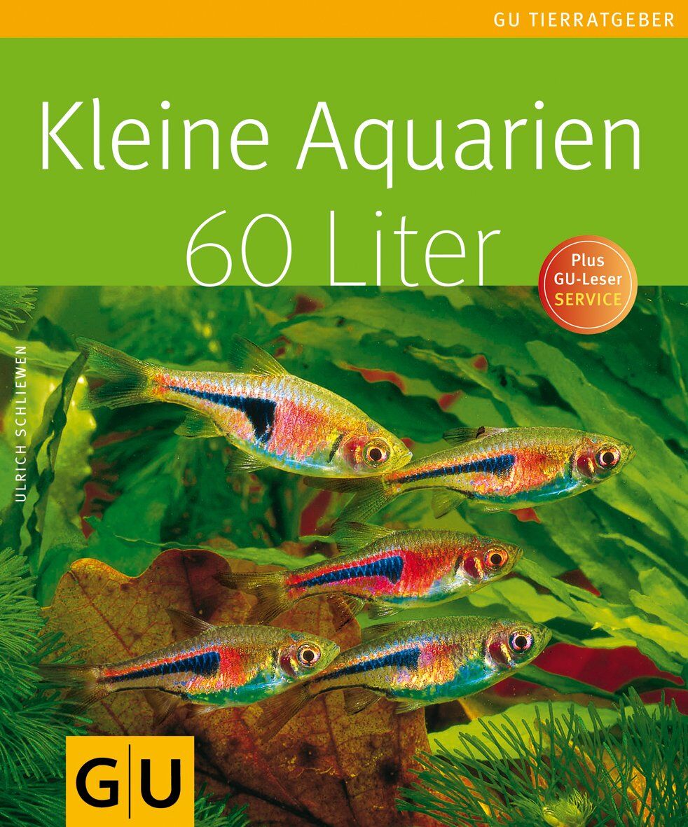 Kleine Aquarien 60 Liter Gu Tierratgeber Von Ulrich Schliewen