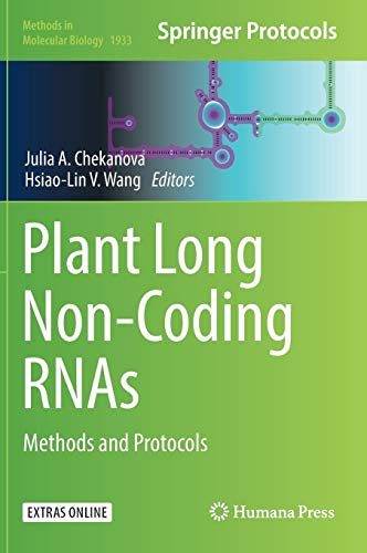Plant Long Non-Coding RNAs: Methods and Protocols (Methods in Molecular Biology, Band 1933)