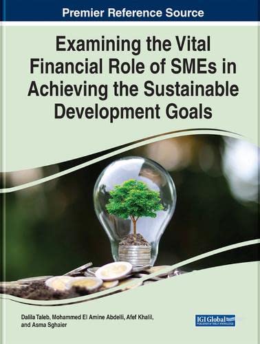 Examining the Vital Financial Role of SMEs in Achieving the Sustainable Development Goals (Advances in Logistics, Operations, and Management Science)