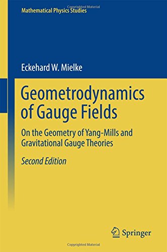 Mathematical Physics Studies: Geometrodynamics of Gauge Fields: On the Geometry of Yang-Mills and Gravitational Gauge Theories